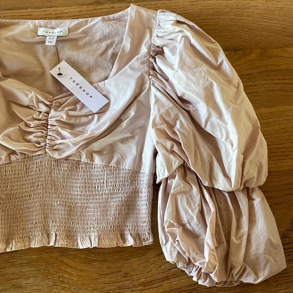 Puffy Sleeve Zara Shirt